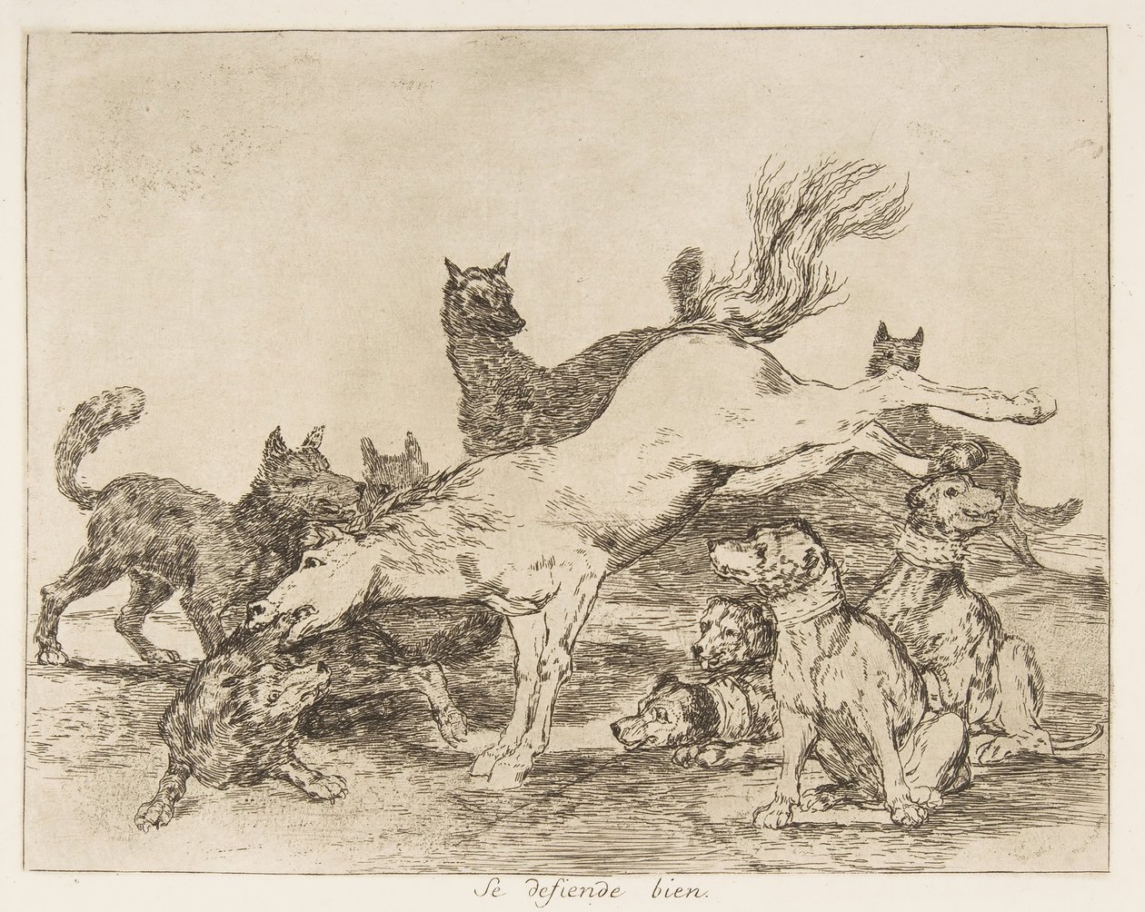 Plate 78 from 