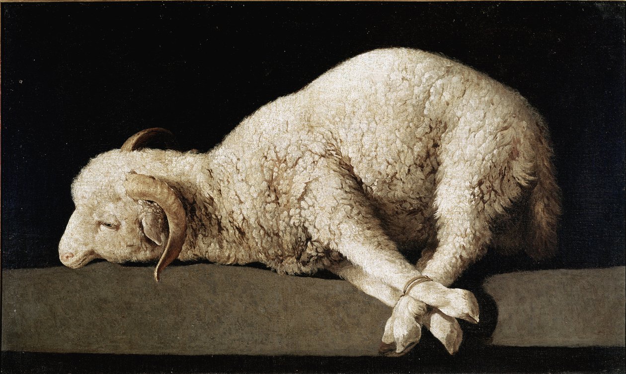 Agnus Dei by Francisco de Zurbaran: Buy fine art print