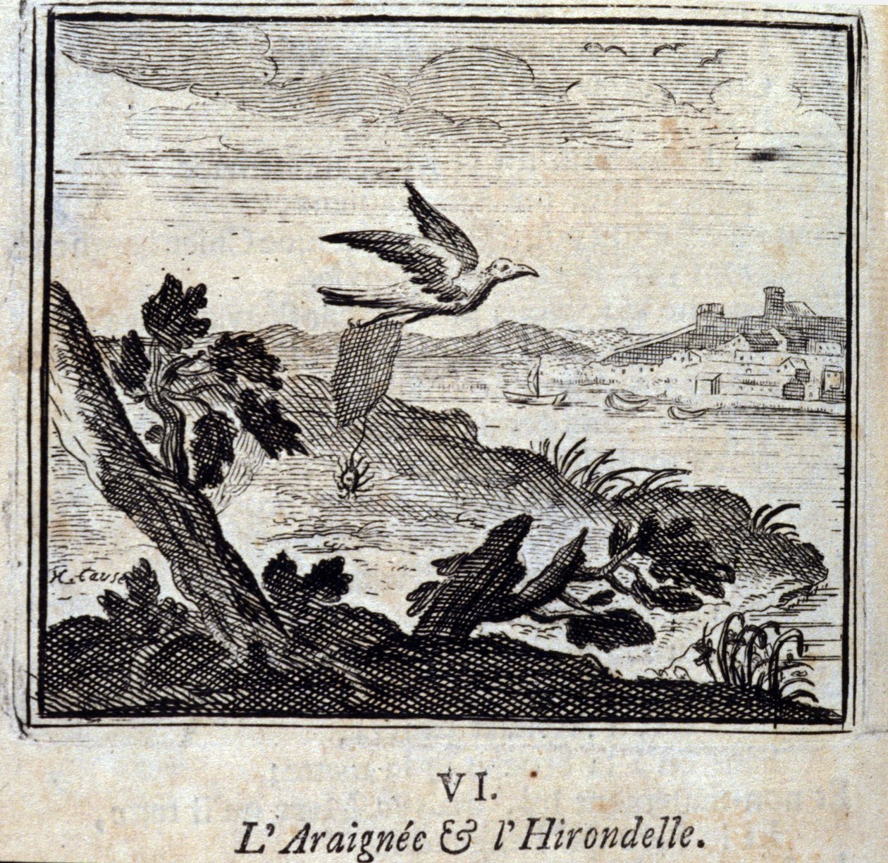 The Spider and the Swallow (Illustration by François Chauveau) by Francois Chauveau