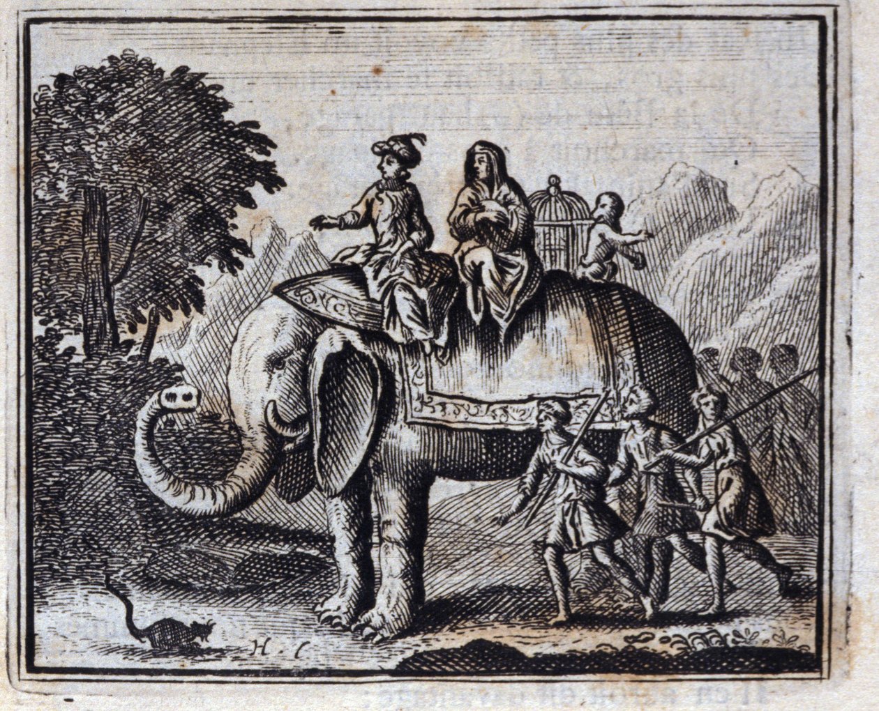 The Rat and the Elephant by Francois Chauveau