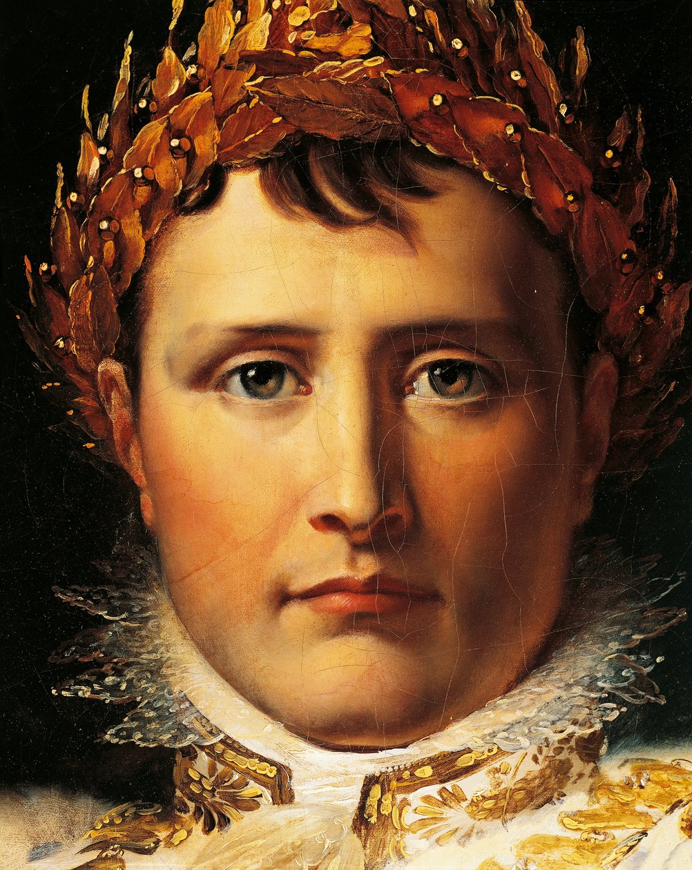 Napoleon Bonaparte in Emperor