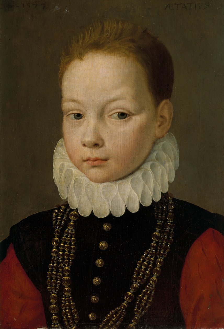 Portrait of a Nine-Year-Old Boy by Frans I Pourbus