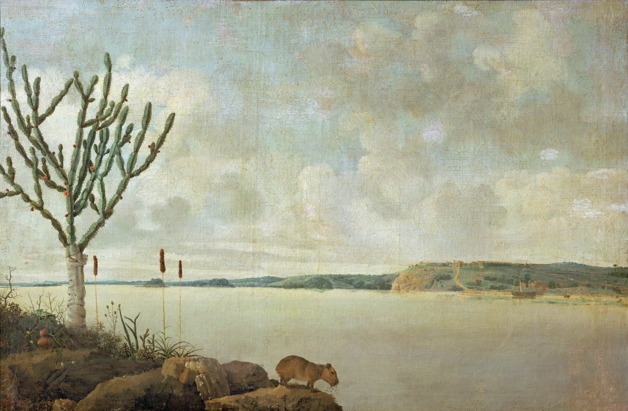 The Rio Sao Francisco and the Fort Maurice, Brazil by Frans Jansz Post