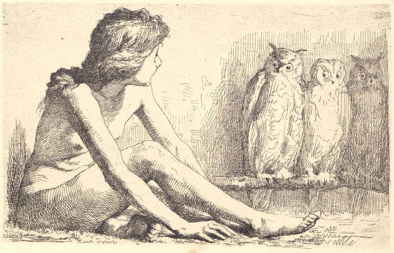 The Girl with the Owls by Frans Schwartz