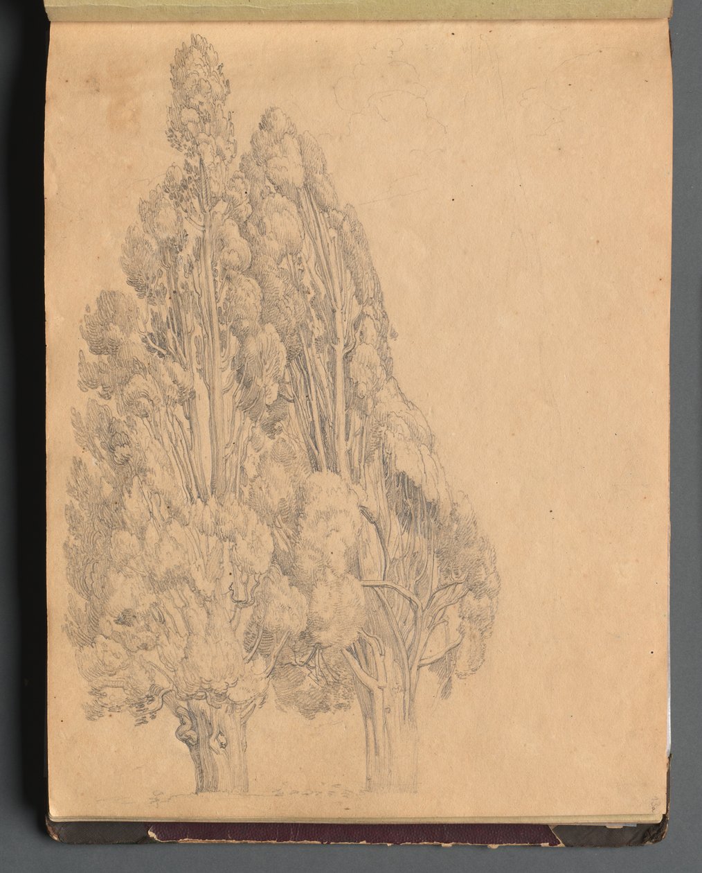 Album with Views of Rome and Surroundings, Landscape Studies, Page 13a: Trees by Franz Johann Heinrich Nadorp