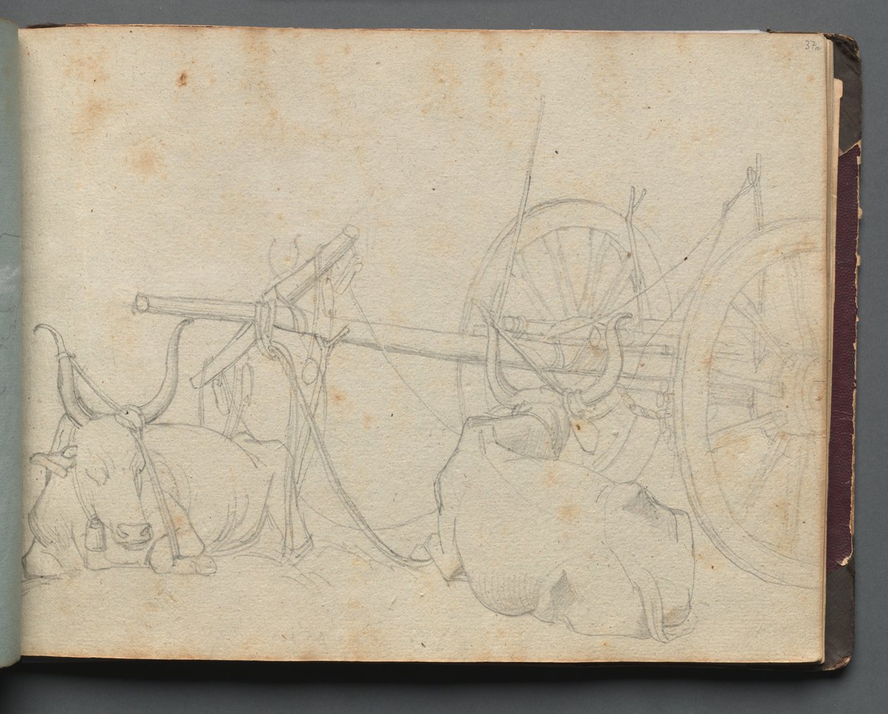 Album with Views of Rome and Surroundings, Landscape Studies, page 37a: Oxen and Wagon by Franz Johann Heinrich Nadorp