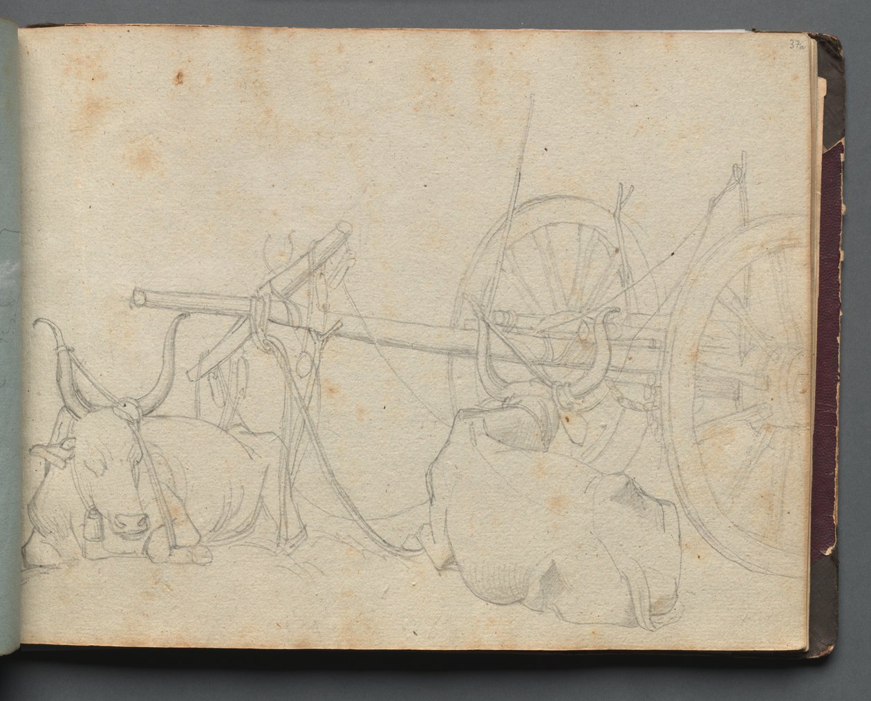 Album with Views of Rome and Surroundings, Landscape Studies, page 37a: Oxen and Wagon by Franz Johann Heinrich Nadorp