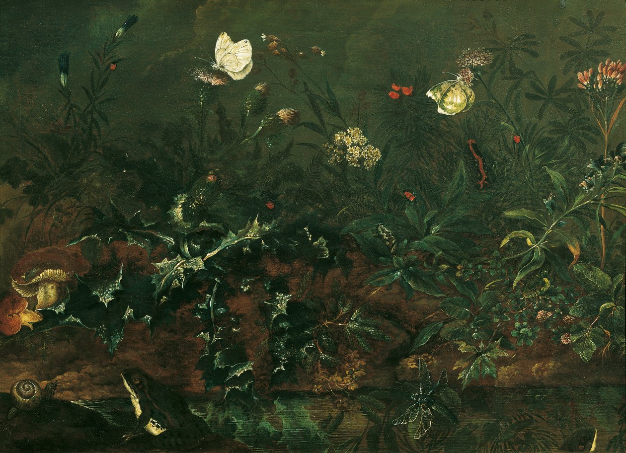 Grass Piece with Thistle, Frogs, and Dragonfly by Franz Michael Siegmund von Purgau d. Ä.