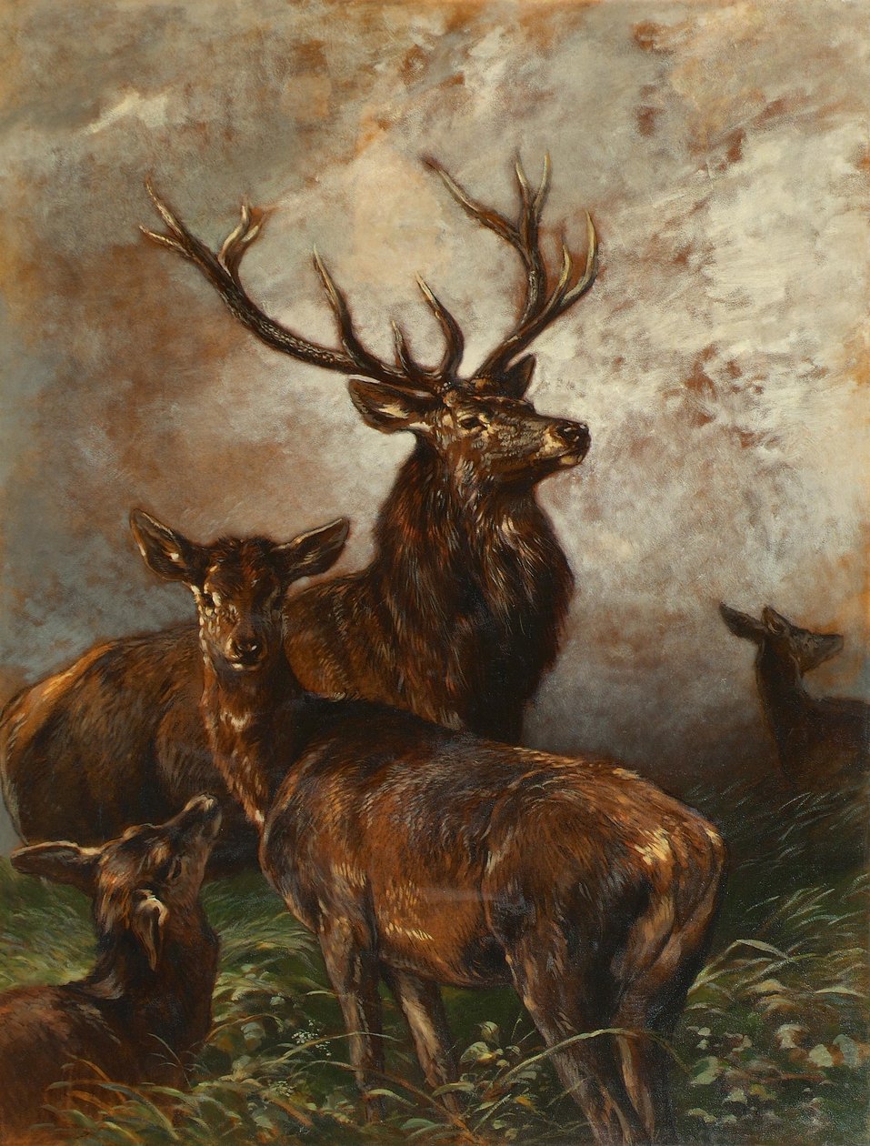 Stag and Doe by Franz Xaver von Pausinger