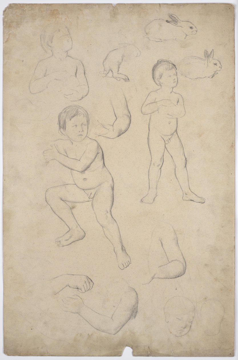 Studies of Child Nudes and Heads, 2 Hares by Franz von Matsch