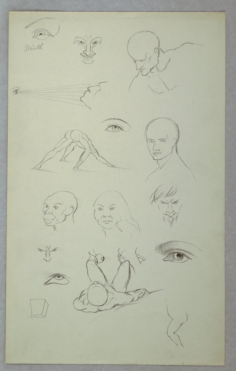 Anatomical Studies by Frederic Edwin Church