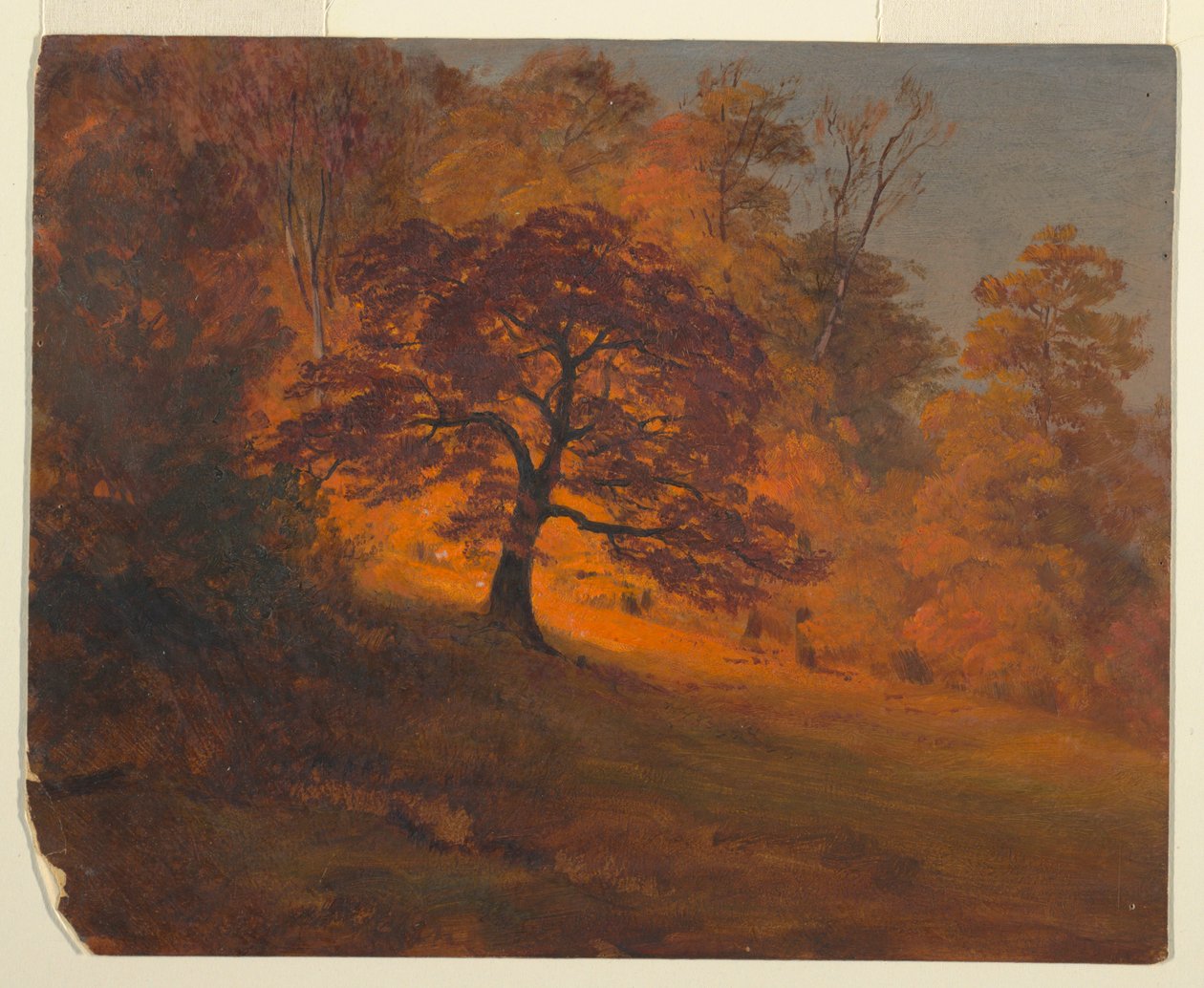 Autumn Foliage, 1867 by Frederic Edwin Church