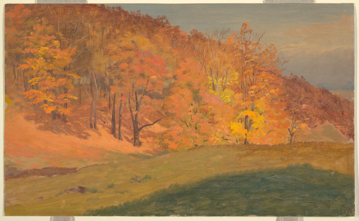 Autumn Woods, ca. 1870 by Frederic Edwin Church