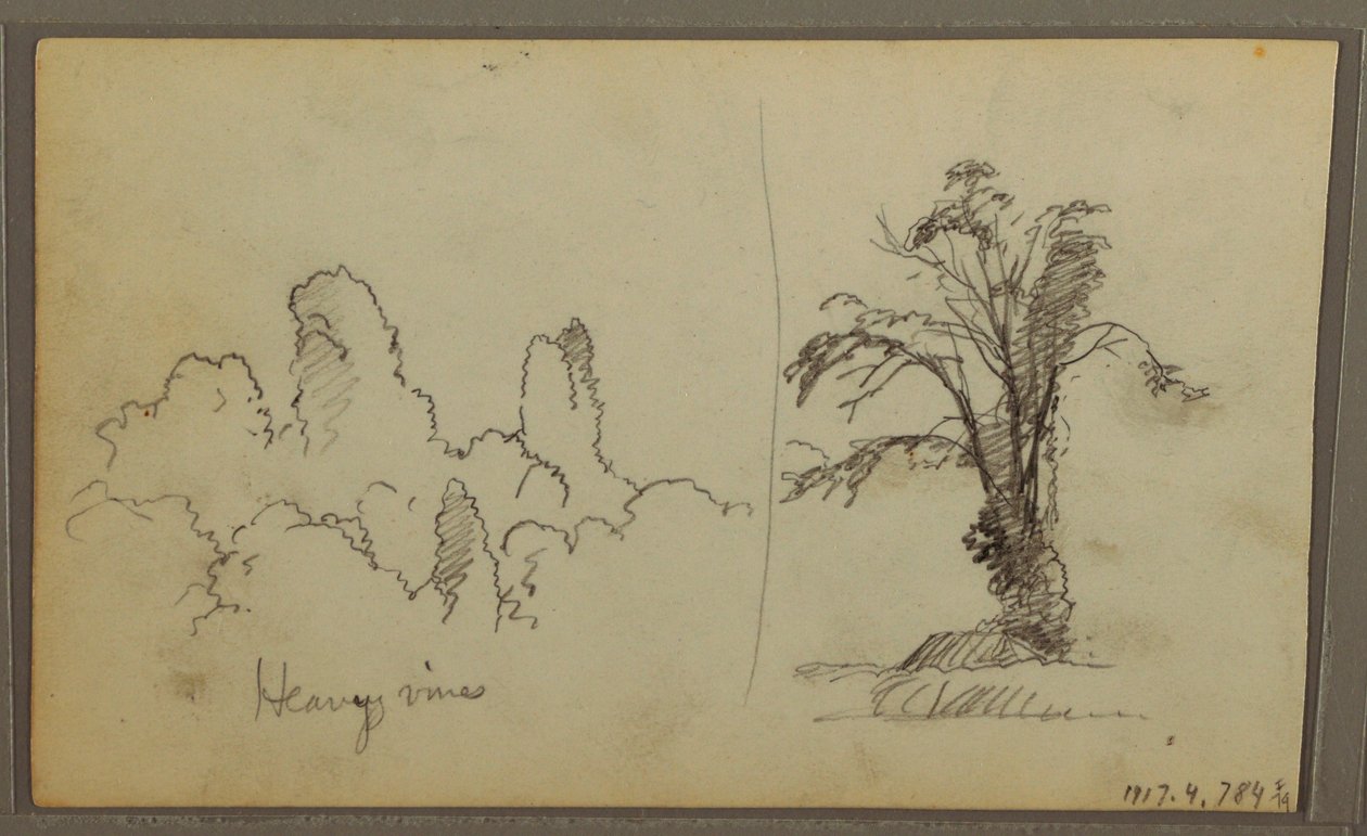 Birds, "Rock in Panama Bay"; Verso: "Heavy Vines", May 15, 1857 by Frederic Edwin Church