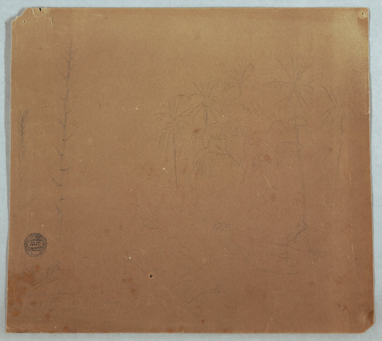 Botanical Sketches, Possibly Bamboos, Palms and Bushes, Ecuador or Colombia, 1853 or 1857 by Frederic Edwin Church