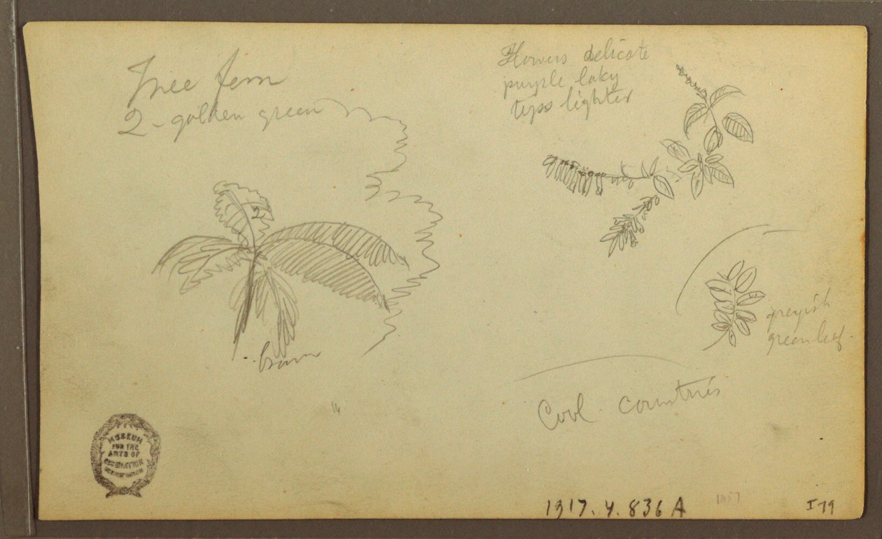 Botanical Sketches; Verso: Botanical Sketches, 1857 by Frederic Edwin Church