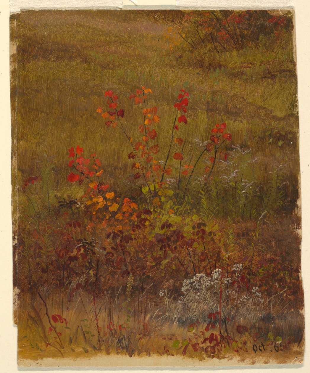 Botanical Studies, October 1865 by Frederic Edwin Church