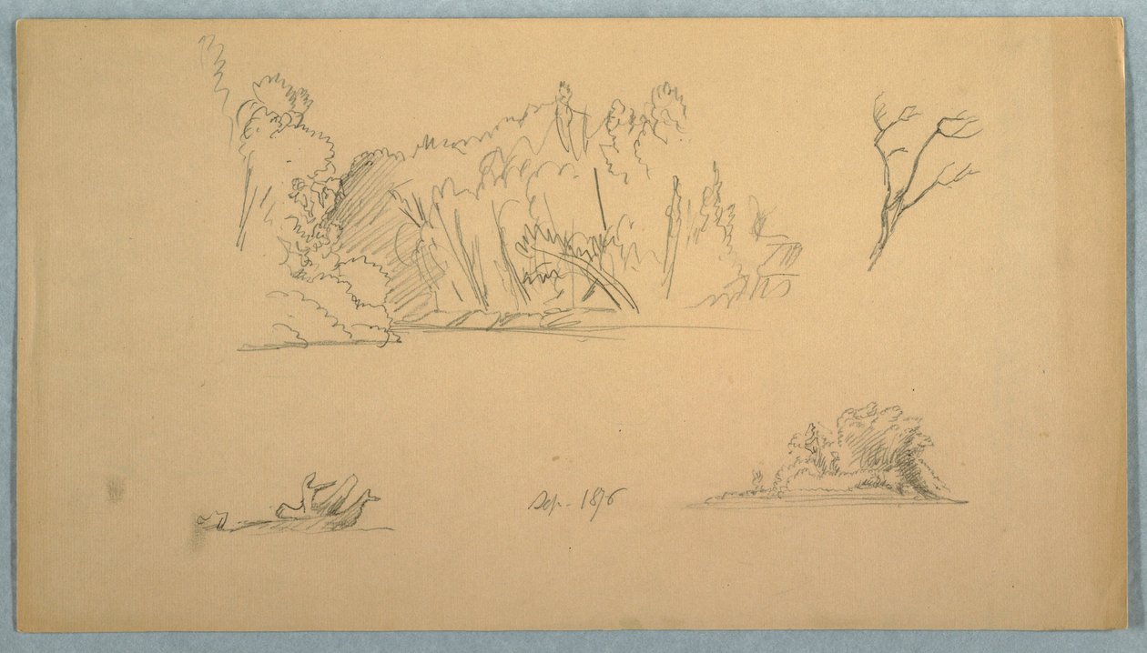 Botanical Sketches: Tree, Trees at Shore, September 1876 by Frederic Edwin Church