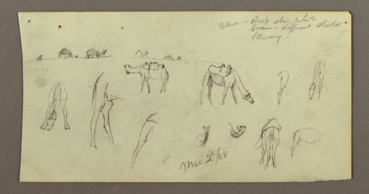 Camel Studies, March 2, 1868 by Frederic Edwin Church