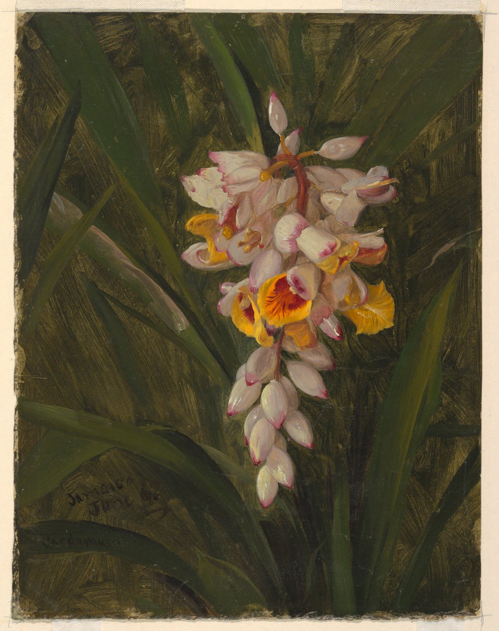 Cardamum, 1865 by Frederic Edwin Church