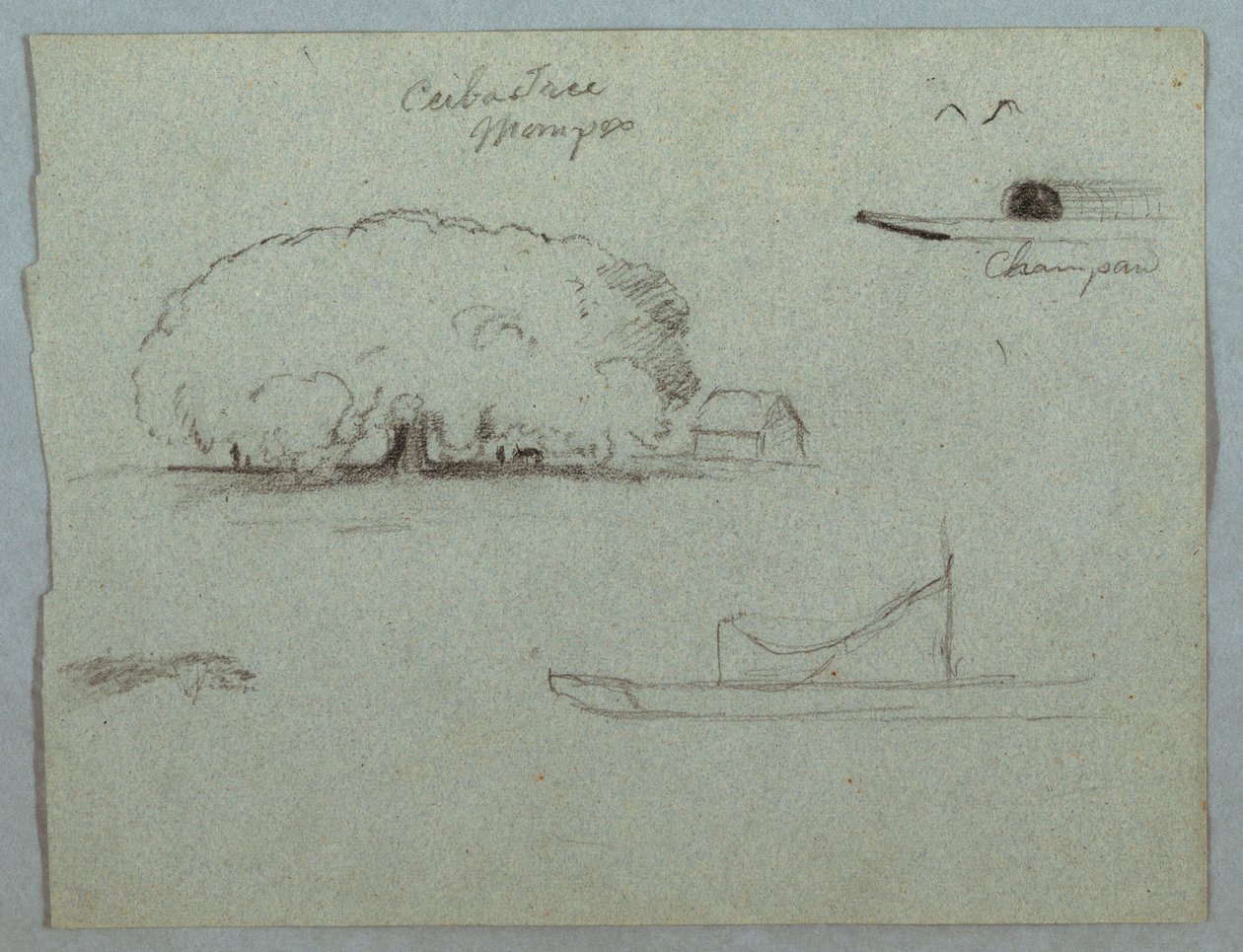 Ceiba Tree at Mompos, Champan Canoe, Trees, and a Partial Boat, Rio Magdalena, Colombia, 1853 by Frederic Edwin Church