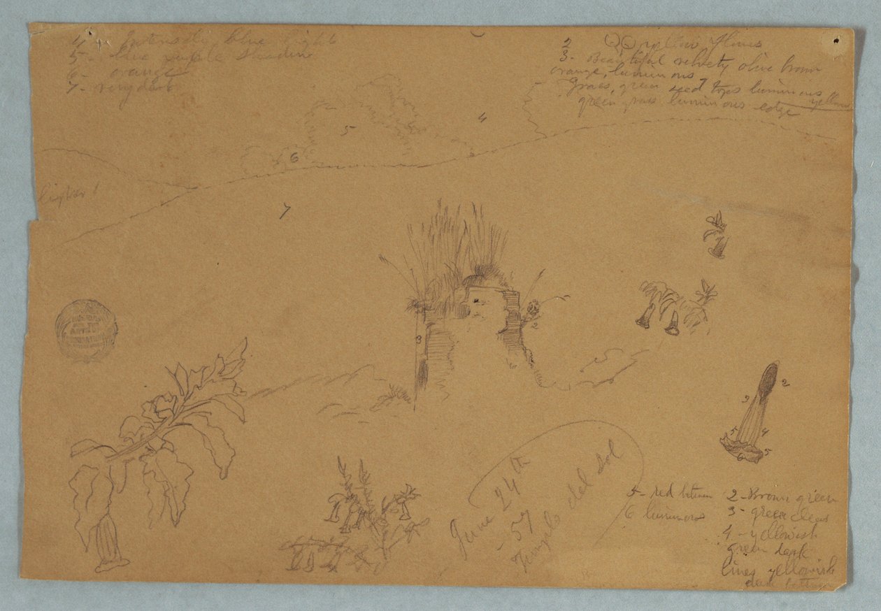 Botanical and Cloud Sketches Near Quito, Ecuador, June 24, 1857 by Frederic Edwin Church