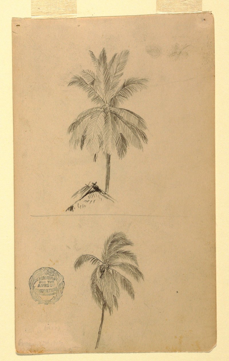 Two Sketches. Palms, 1857 by Frederic Edwin Church