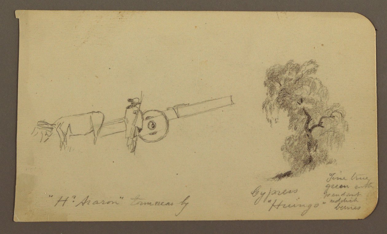 Figure and ox Cart, Cypress Tree; Verso: View across Cuitzeo Lake, January 1885 by Frederic Edwin Church
