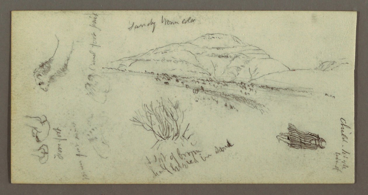 Hill, Shrubbery, Figure, Camel Studies, possibly 1868 by Frederic Edwin Church