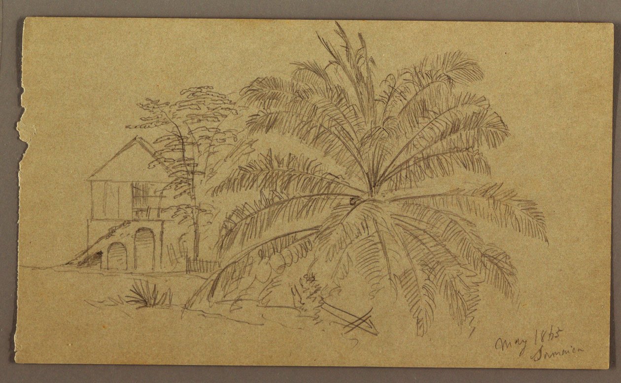House and Fern, May 1865 by Frederic Edwin Church