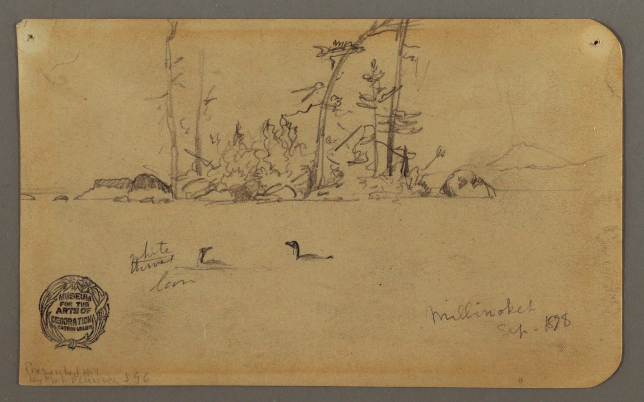 Island, Two loons, 1878 by Frederic Edwin Church