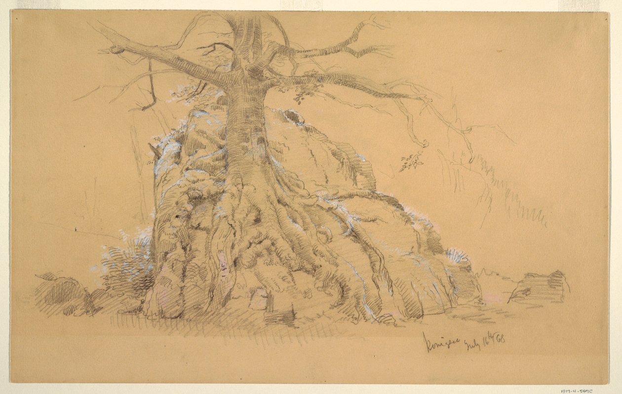 Königssee Tree, July 16, 1868 by Frederic Edwin Church