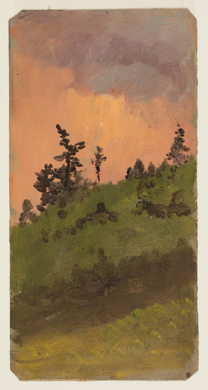 Landscape at Woods, June 1870 by Frederic Edwin Church