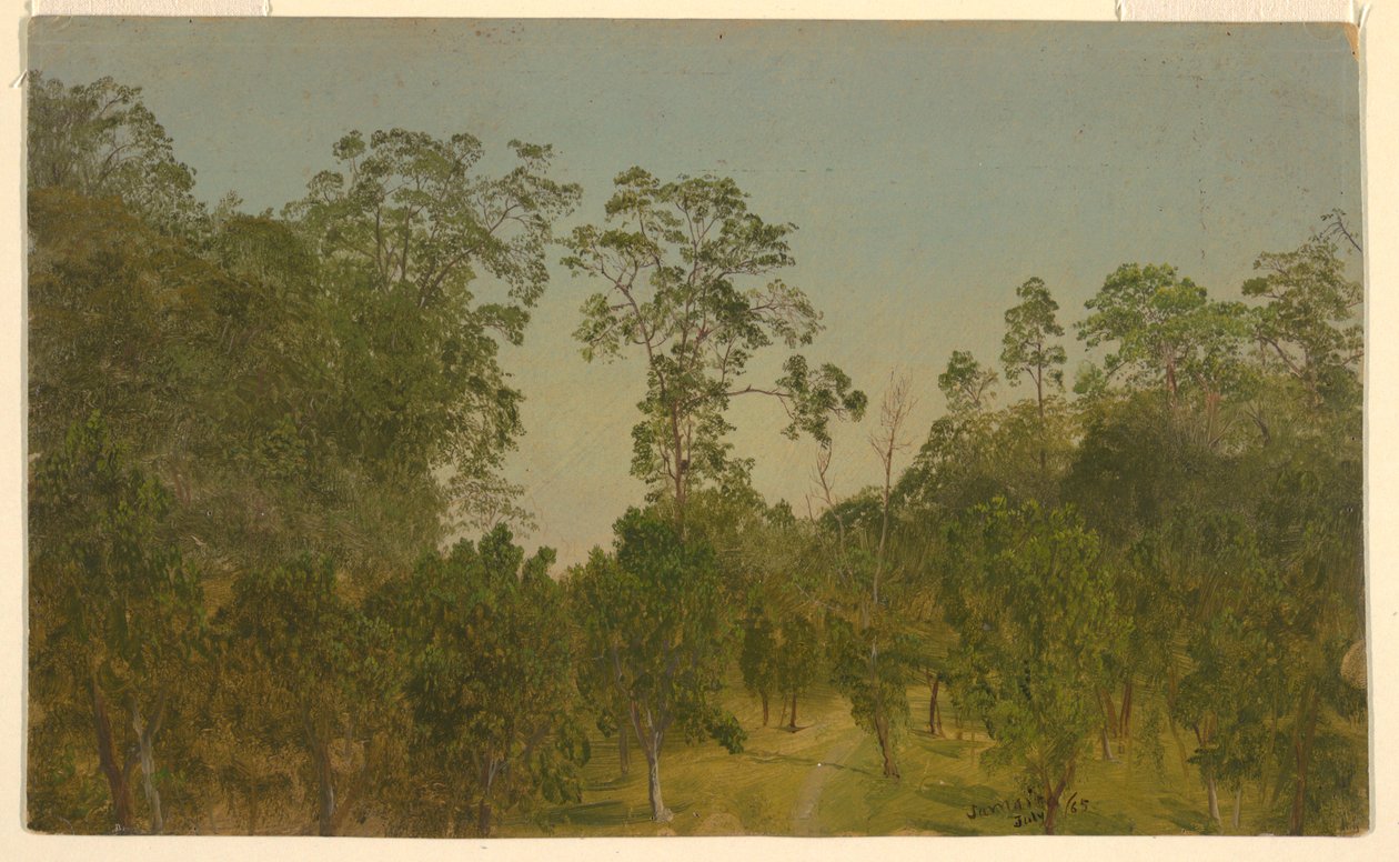 Landscapes, July 1865 by Frederic Edwin Church