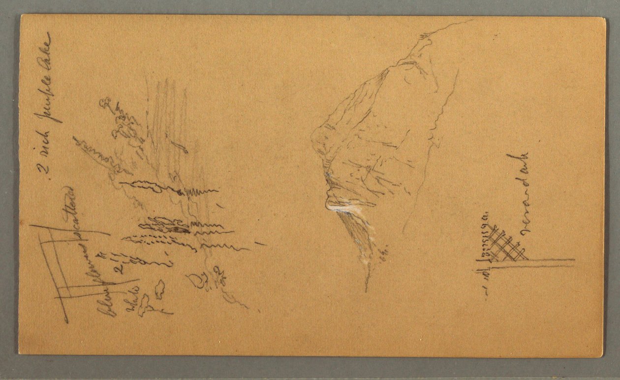 Mountain Peak, Vegetation by Pool, 1868 by Frederic Edwin Church