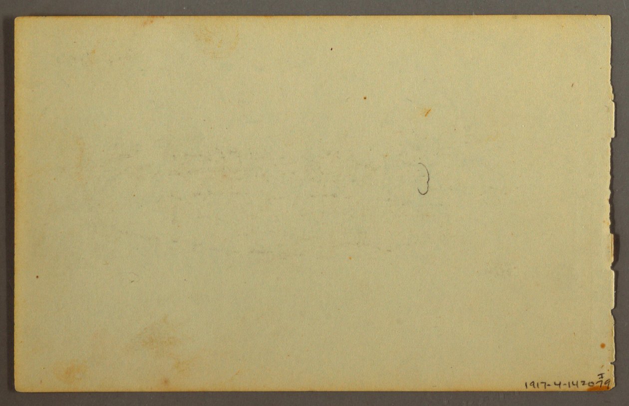Plant Study, Faces, possibly 1844 by Frederic Edwin Church