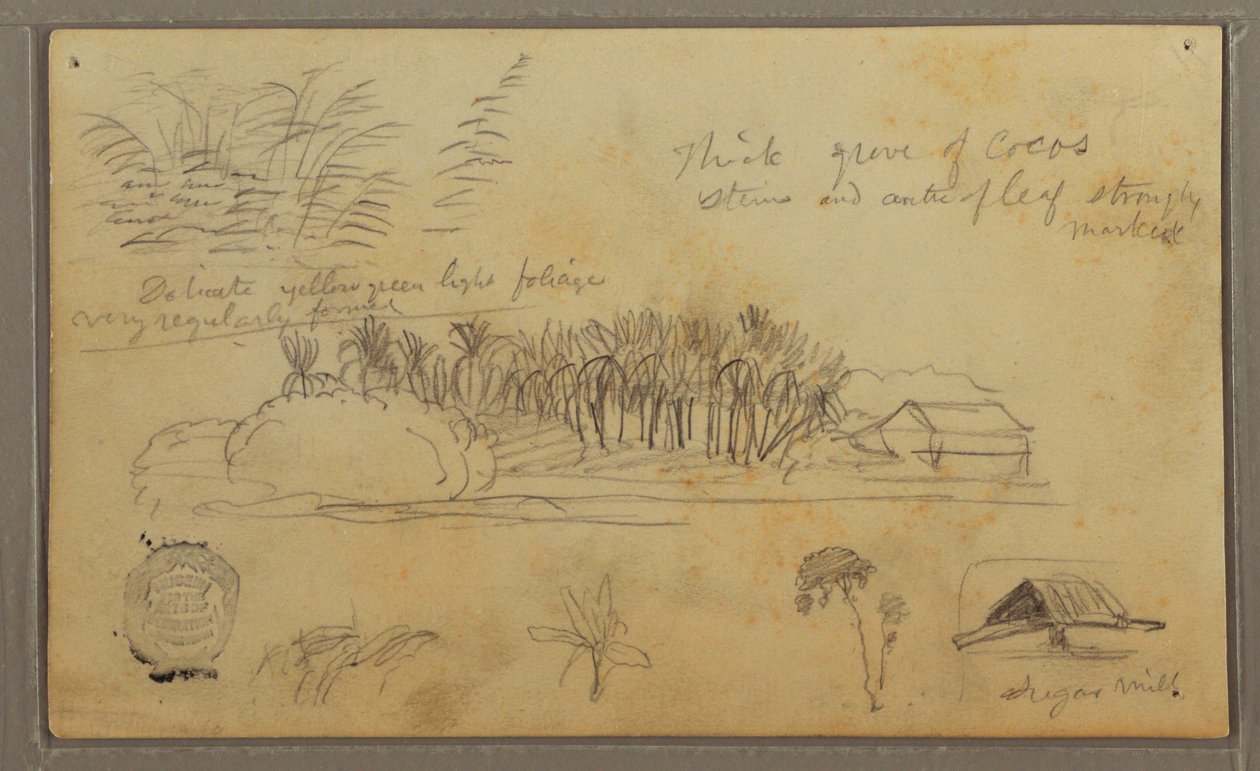 Sketches, Ecuador or Colombia; Verso: Sketches, Ecuador or Colombia, 1857 by Frederic Edwin Church