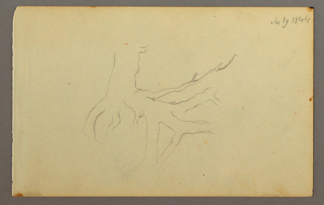 Tree Roots, 1844 by Frederic Edwin Church