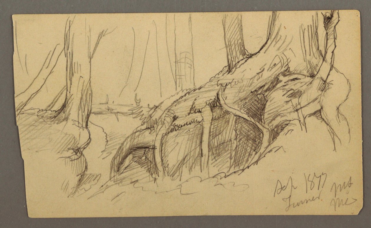 Tree Roots Growing Over a Boulder (Turner Mountain), 1877 by Frederic Edwin Church