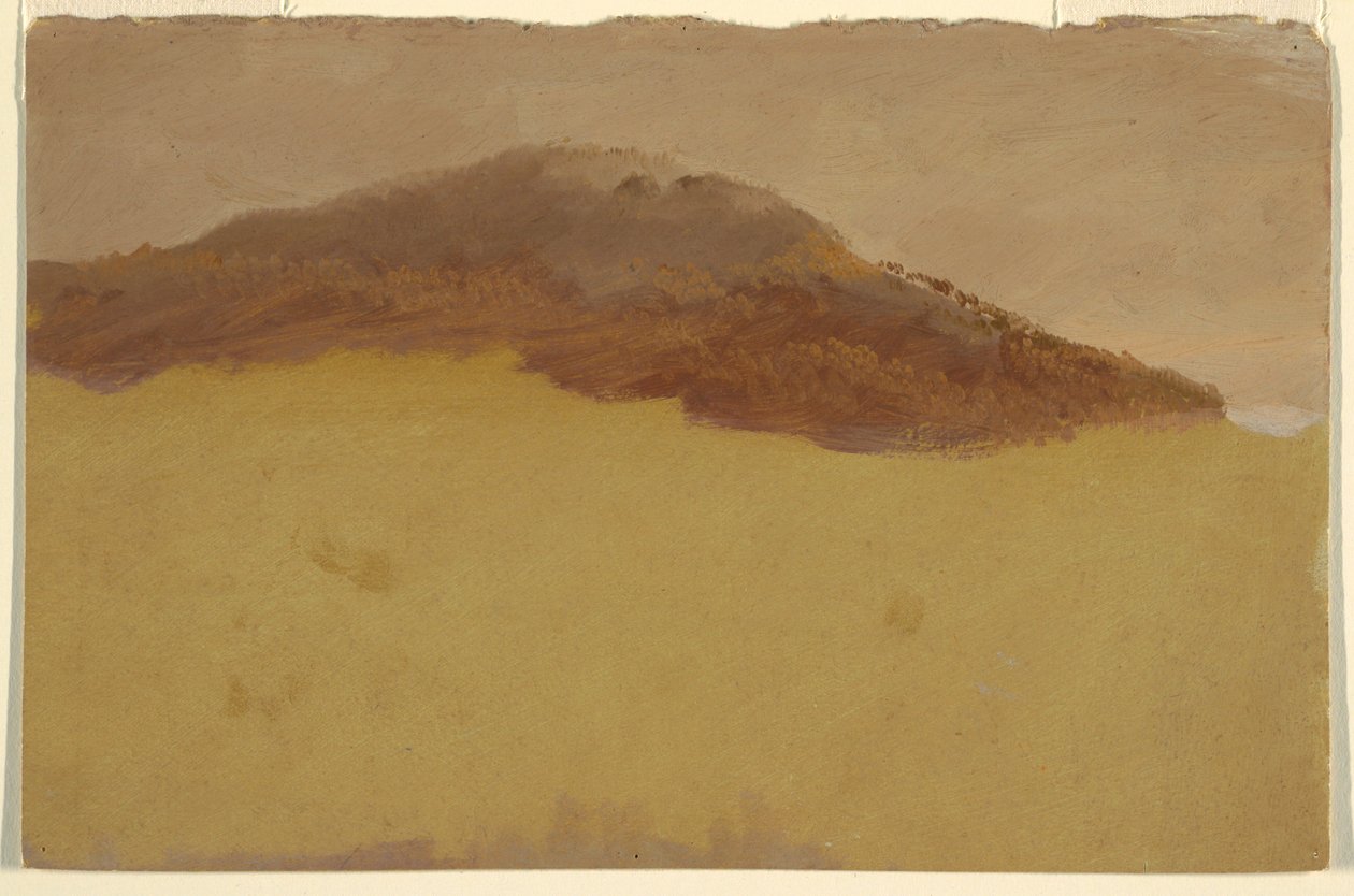 Wooded hillside, 1870–80 by Frederic Edwin Church