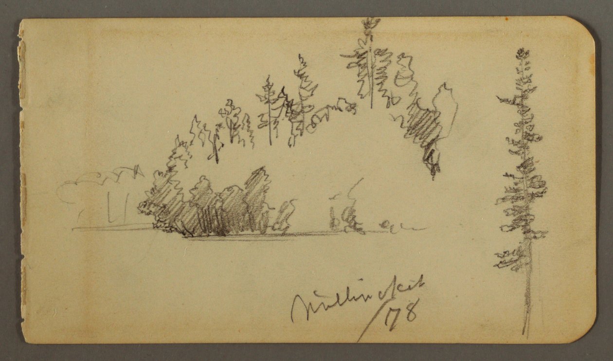 Wooded Shore, Tree Study, 1878 by Frederic Edwin Church