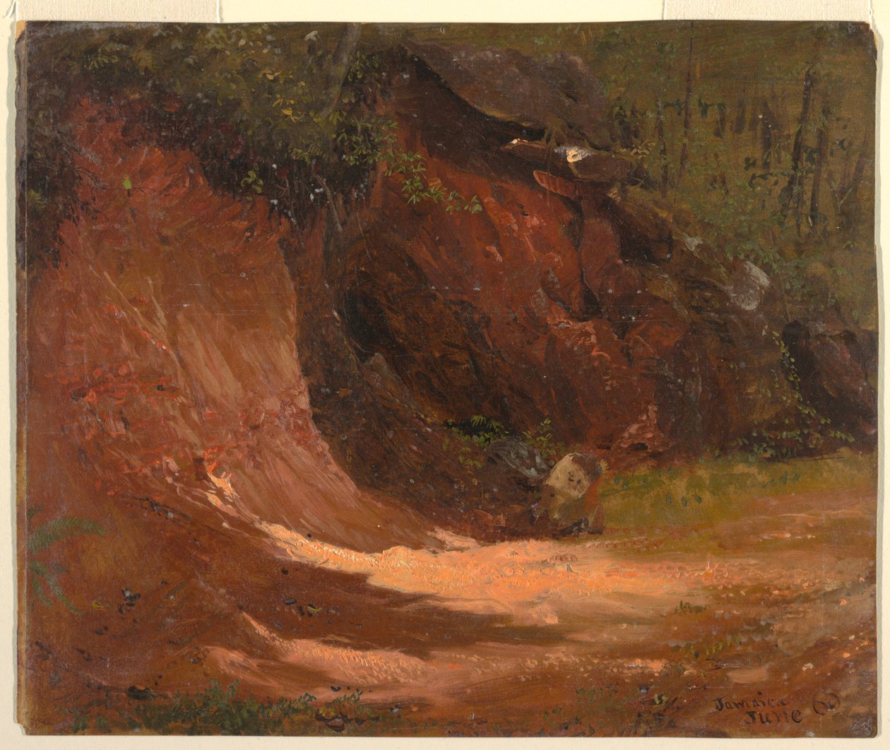 Woodland Bank, Jamaica, June 1865 by Frederic Edwin Church