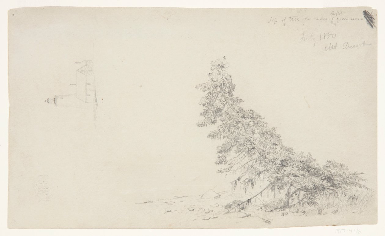 Evergreen Tree Near the Shore with a Detail of the Lighthouse and a House, Mount Desert, Maine by Frederic Edwin Church