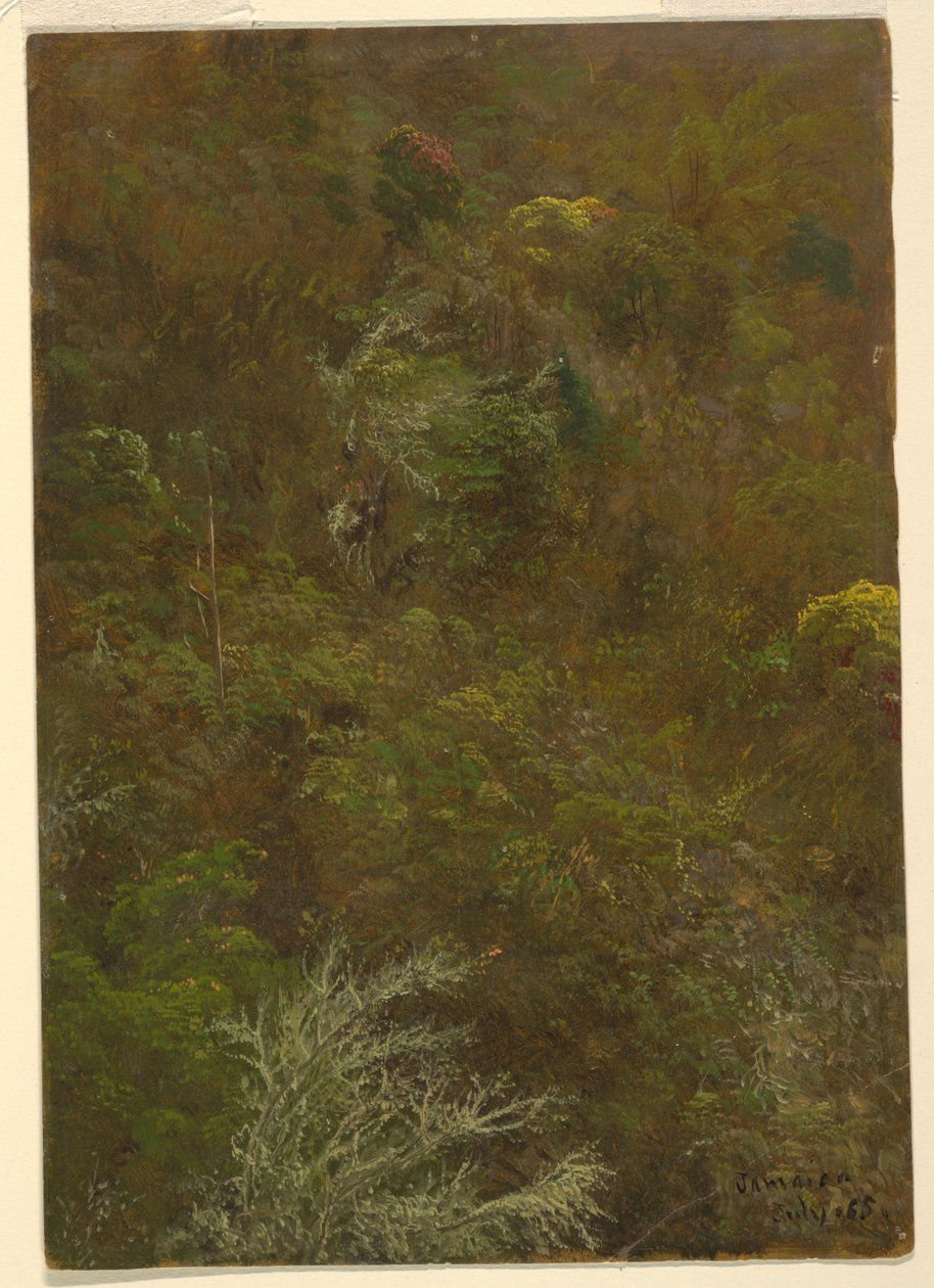 Hillside with Trees, Jamaica by Frederic Edwin Church
