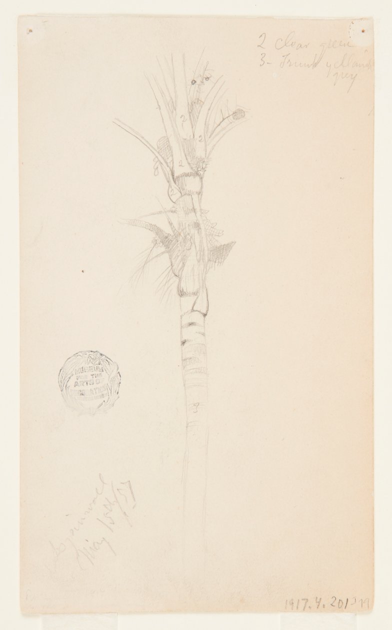 Leaves and Stem of a Palm Tree, Aspinwall, Panama by Frederic Edwin Church