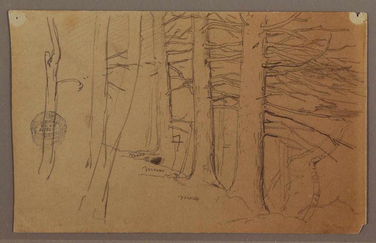 Lower Parts of a Group of Trees Growing on a Slope by Frederic Edwin Church