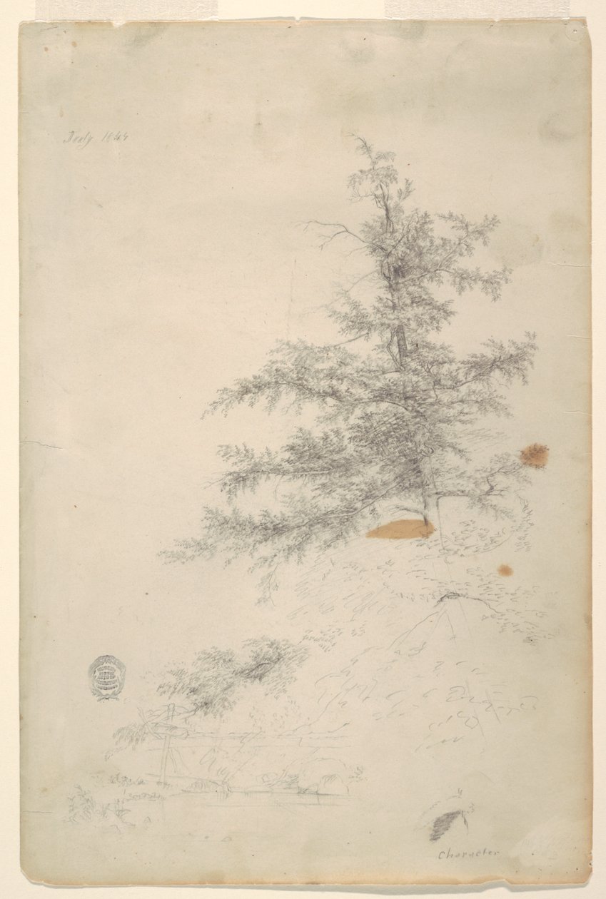 Tree, Stream by Frederic Edwin Church