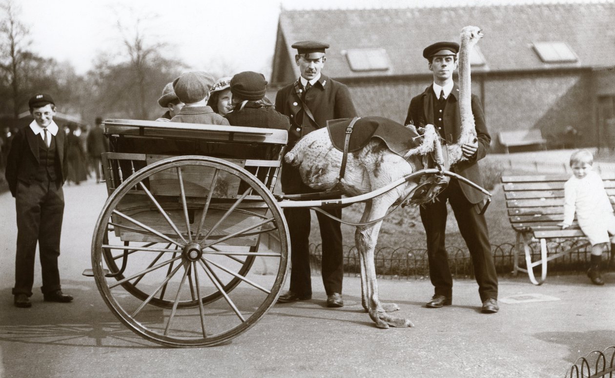 An Ostrich Cart Ride with Children and Keepers George Blore and William Dexter at London Zoo by Frederick William Bond