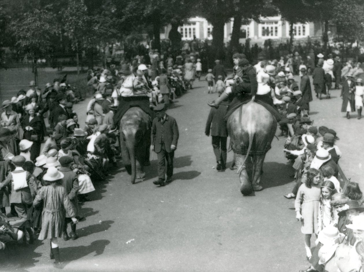 Asian elephant rides with crowds of onlookers at London Zoo by Frederick William Bond