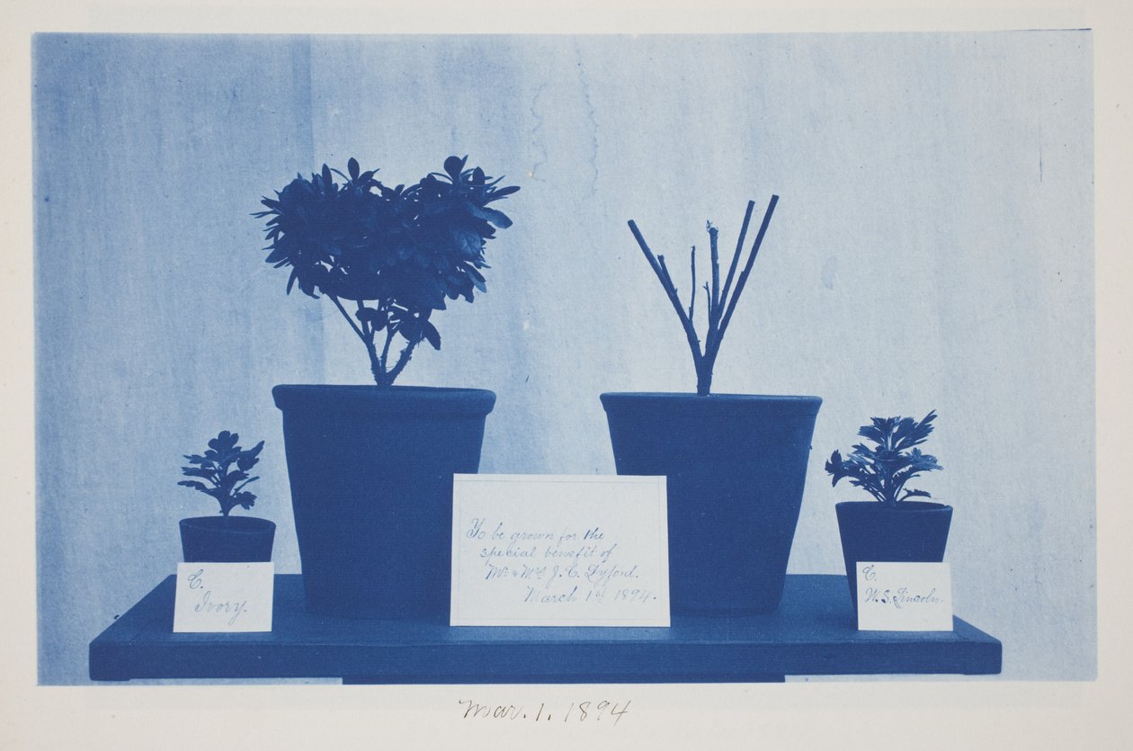 Untitled, March 1 by Frederick K. Coulson